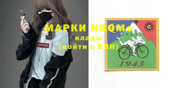 индика Армянск