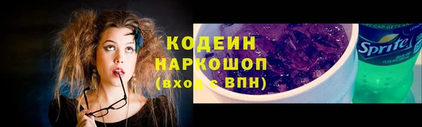 ГАЛЛЮЦИНОГЕННЫЕ ГРИБЫ Аркадак