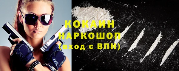 индика Армянск