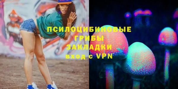 индика Армянск