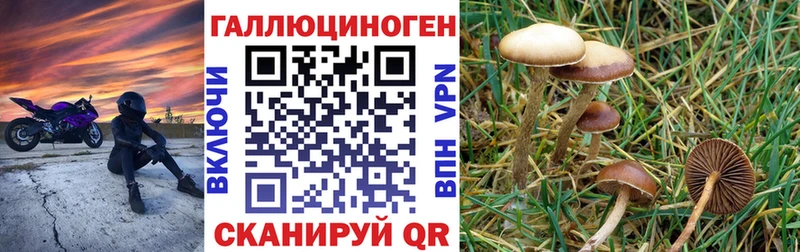наркотики Артёмовский Псилоцибиновые грибы ЛСД